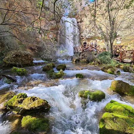 Dimitrijevic Lisine * Despotovac