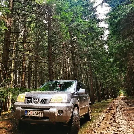 Dimitrijevic Lisine *