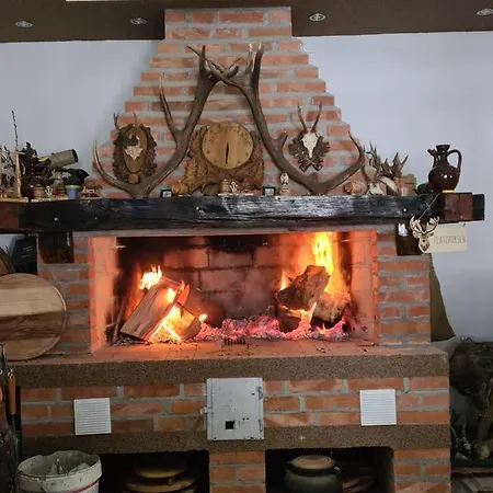 Dimitrijevic Lisine Villa