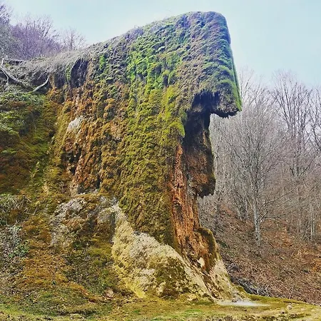 Dimitrijevic Lisine *