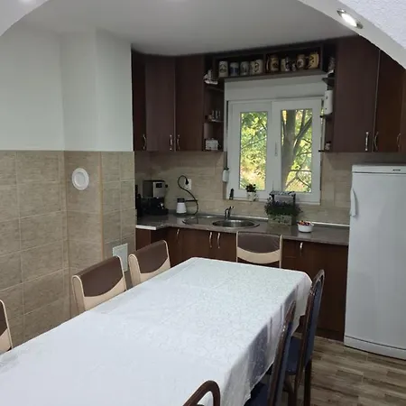 Villa Dimitrijevic Lisine
