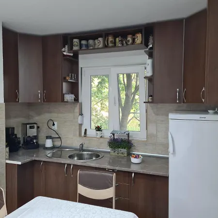 Villa Dimitrijevic Lisine Despotovac