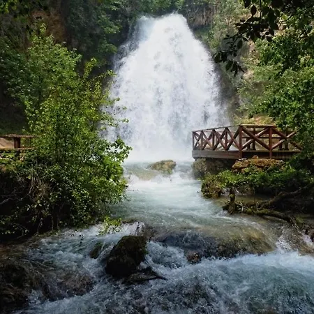 Dimitrijevic Lisine Villa *