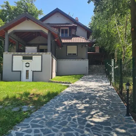 Dimitrijevic Lisine 데스포토바츠