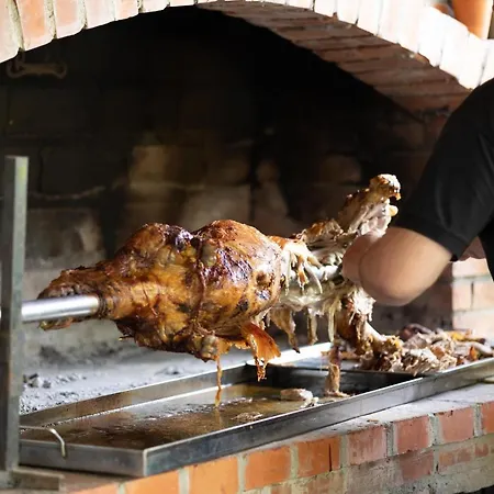 Villa Dimitrijevic Lisine *