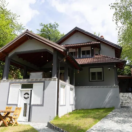 Dimitrijevic Lisine Villa