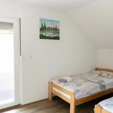 Villa Dimitrijevic Lisine Despotovac