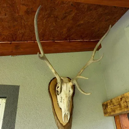 Dimitrijevic Lisine Villa *