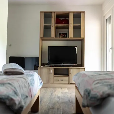 Dimitrijevic Lisine Villa