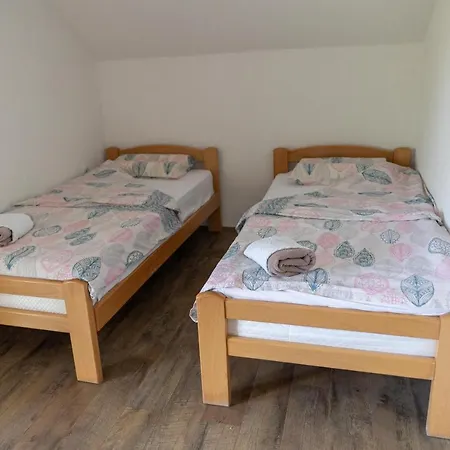 Villa Dimitrijevic Lisine Despotovac