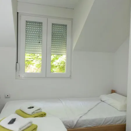 Villa Dimitrijevic Lisine Despotovac
