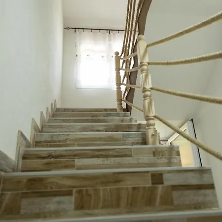 Dimitrijevic Lisine *