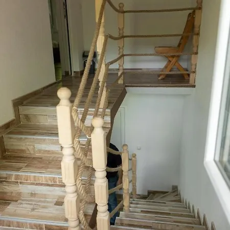 Dimitrijevic Lisine * Despotovac