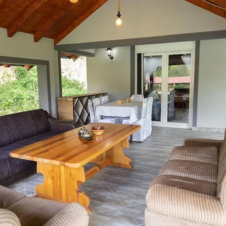 Dimitrijevic Lisine Villa Despotovac