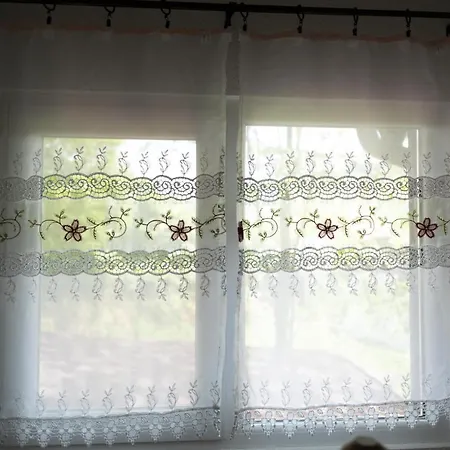 Villa Dimitrijevic Lisine *