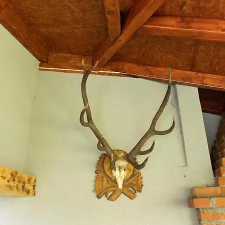 Dimitrijevic Lisine Despotovac