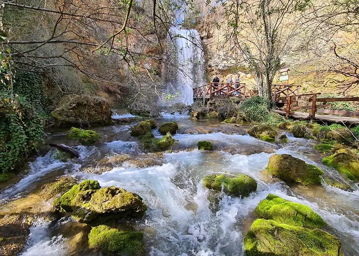 Dimitrijevic Lisine * Despotovac