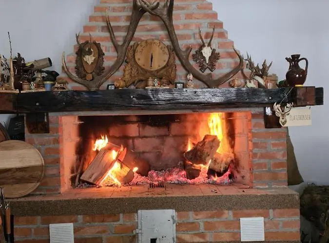 Dimitrijevic Lisine Willa