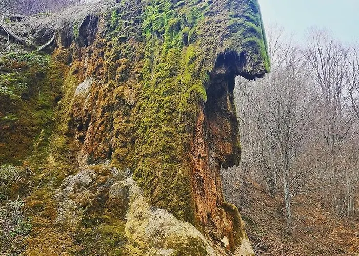 Dimitrijevic Lisine *