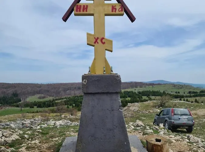 Dimitrijevic Lisine Willa Despotovac