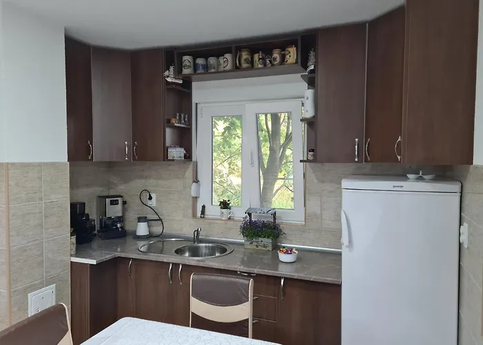 Willa Dimitrijevic Lisine Despotovac