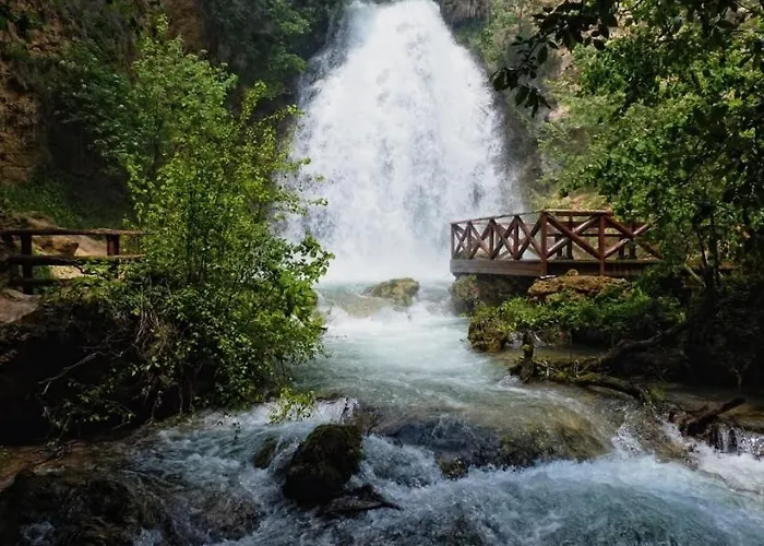 Dimitrijevic Lisine Willa *