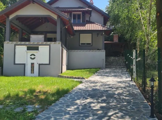 Dimitrijevic Lisine Despotovac