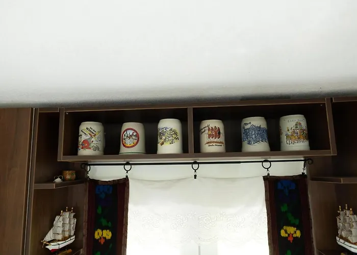 Dimitrijevic Lisine *