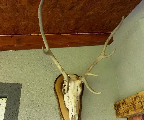 Dimitrijevic Lisine Willa *