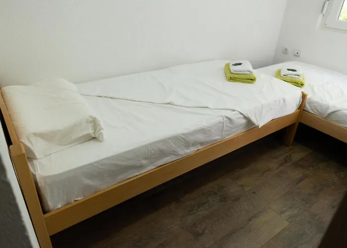 Dimitrijevic Lisine *