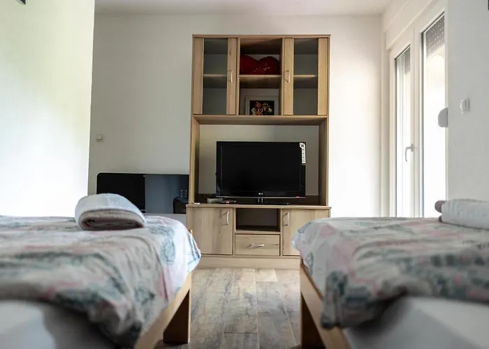 Dimitrijevic Lisine Willa