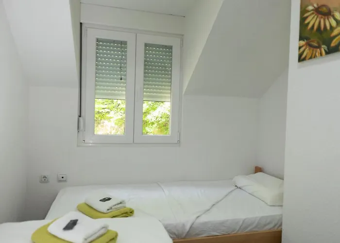 Willa Dimitrijevic Lisine Despotovac