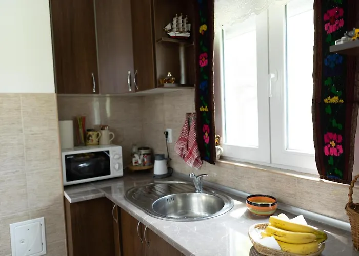 Dimitrijevic Lisine Despotovac