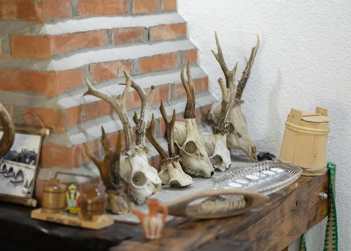 Willa Dimitrijevic Lisine