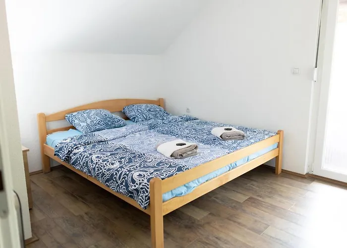 Dimitrijevic Lisine Despotovac