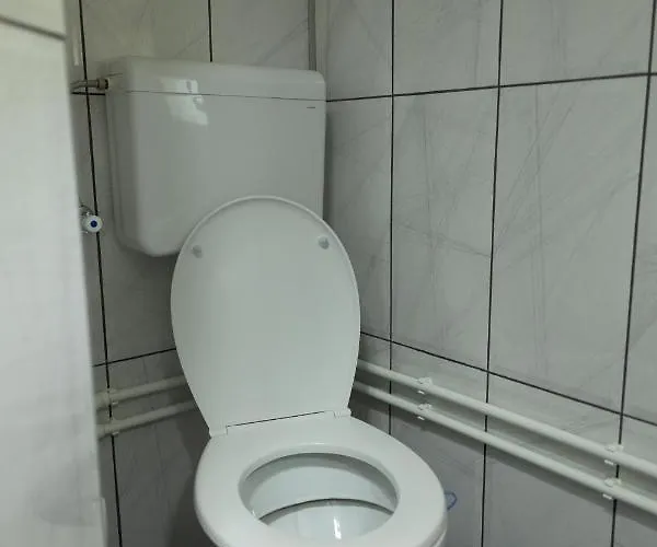 Dimitrijevic Lisine Willa