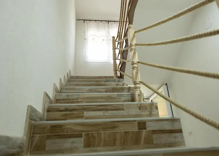 Dimitrijevic Lisine *