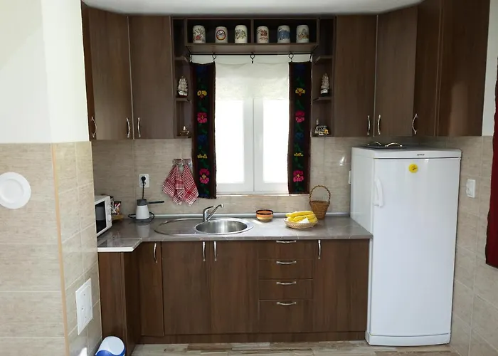 Dimitrijevic Lisine Willa Despotovac