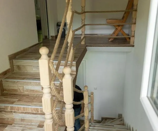 Dimitrijevic Lisine * Despotovac