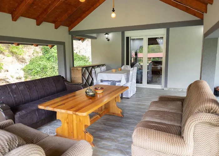 Dimitrijevic Lisine Willa Despotovac