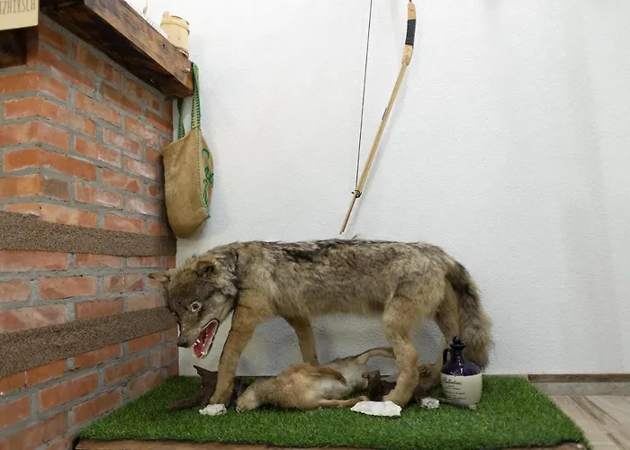 Willa Dimitrijevic Lisine