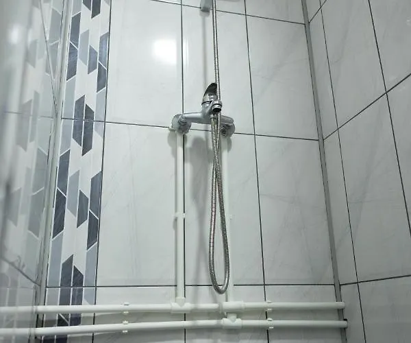 Dimitrijevic Lisine *