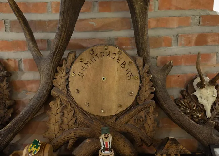 Dimitrijevic Lisine Willa Despotovac